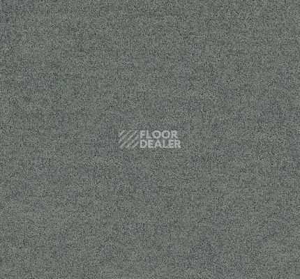 Ковровая плитка Interface Polichrome Solid 4266006 Cinder фото 1 | FLOORDEALER